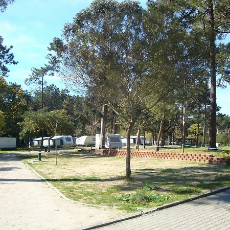 Orbitur Caminha Bungalows - Caravan Park Esterno foto