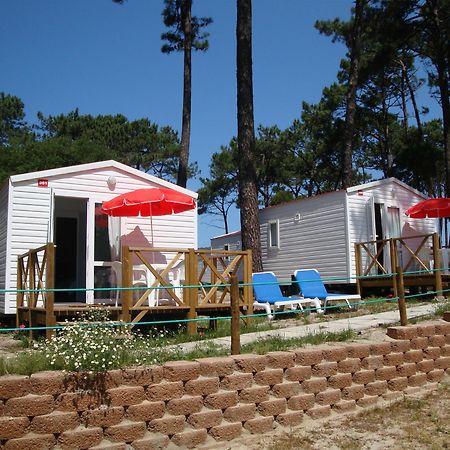 Orbitur Caminha Bungalows - Caravan Park Esterno foto