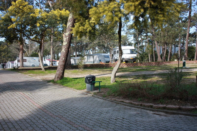 Orbitur Caminha Bungalows - Caravan Park Esterno foto