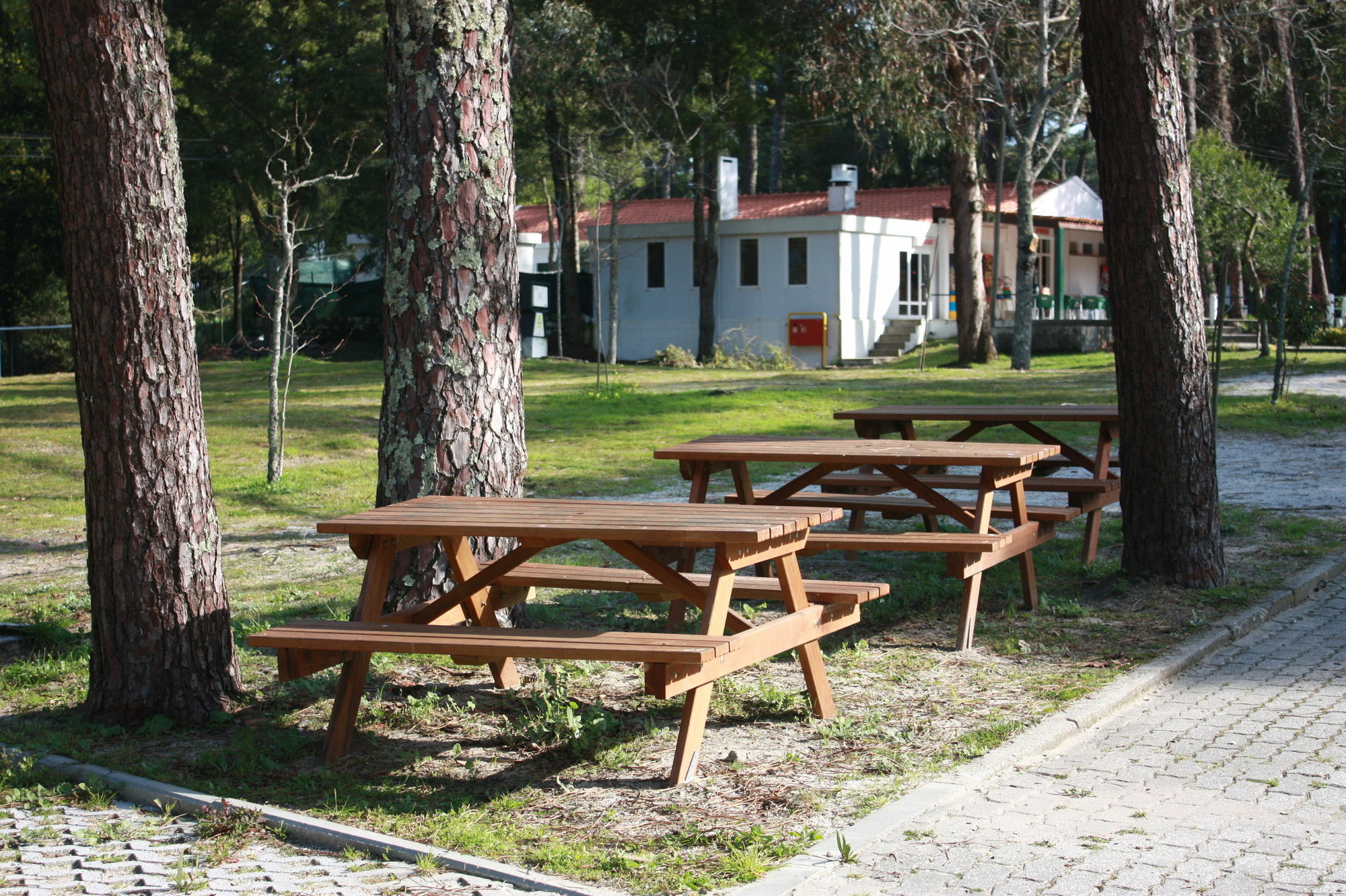 Orbitur Caminha Bungalows - Caravan Park Esterno foto