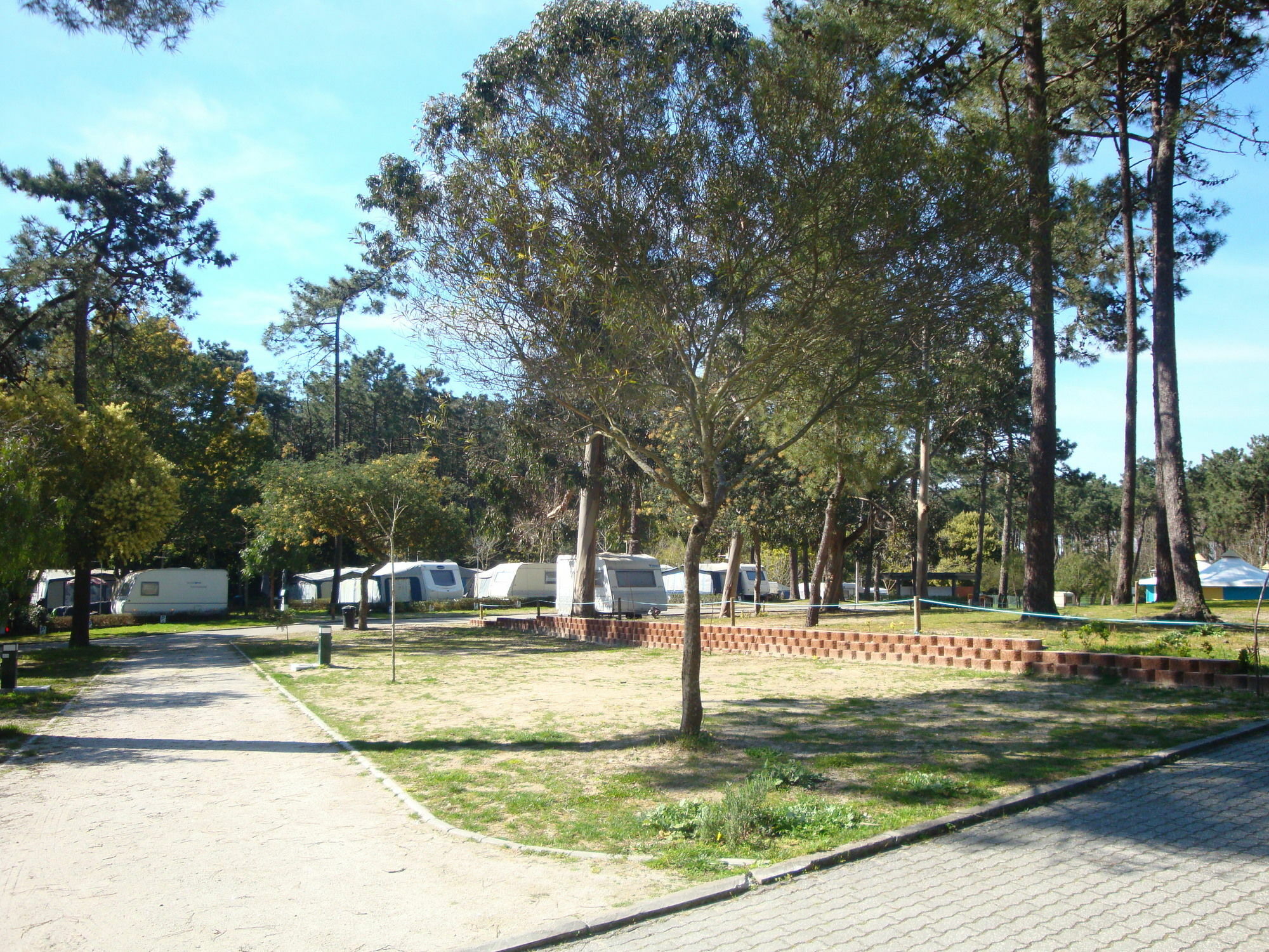 Orbitur Caminha Bungalows - Caravan Park Esterno foto