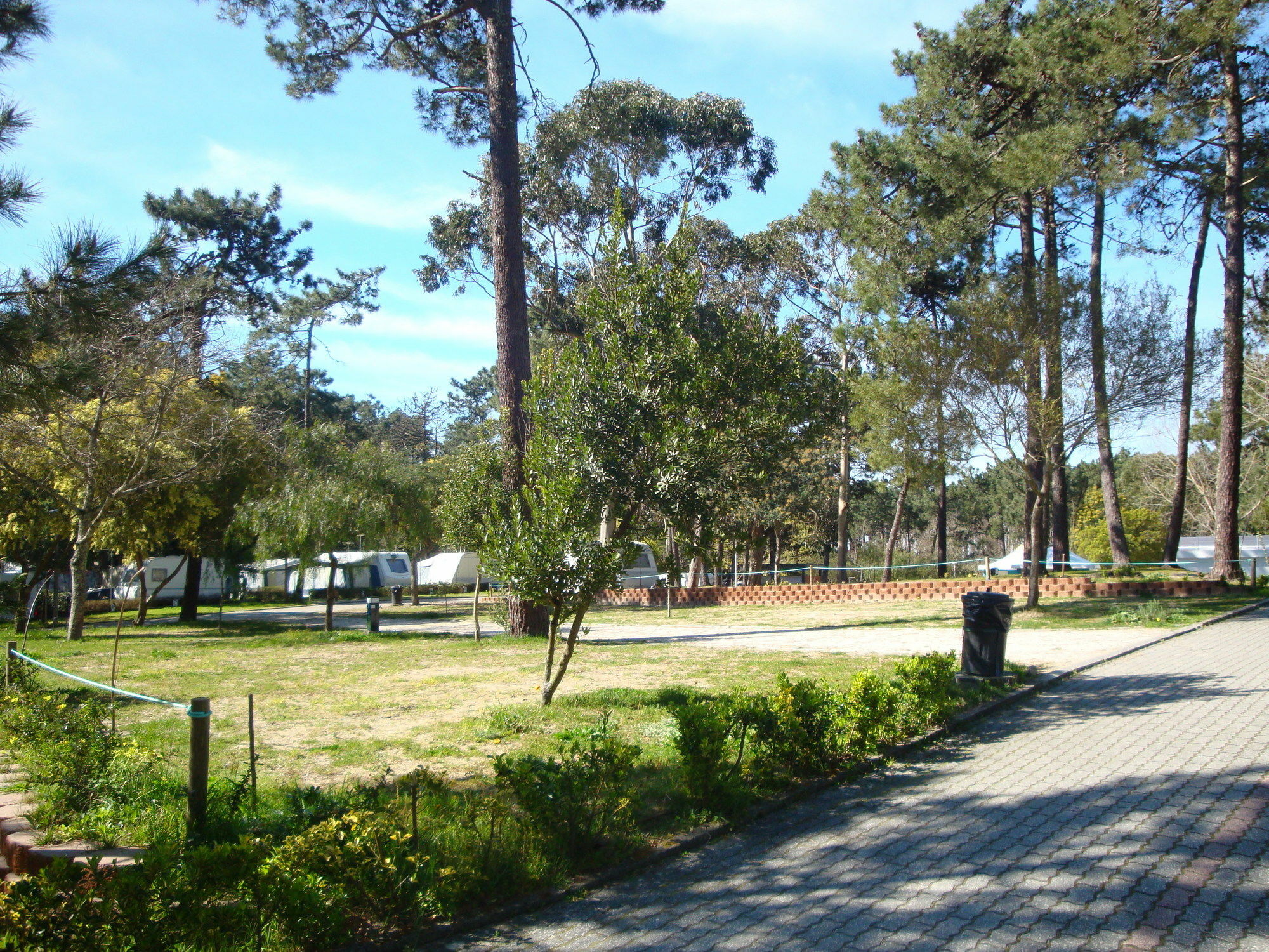 Orbitur Caminha Bungalows - Caravan Park Esterno foto